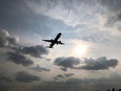 -空港花田景区