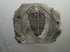 -湖南省地质博物馆