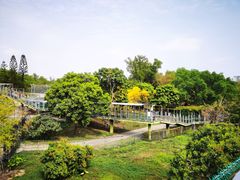 -深圳野生动物园