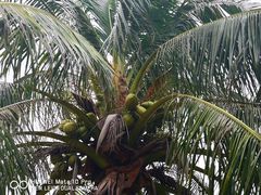 -白沙门生态公园