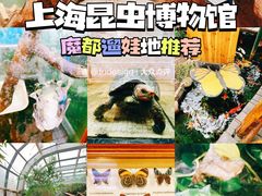 -上海大自然野生昆虫馆