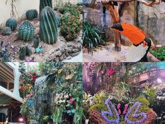 -正佳雨林生态植物园