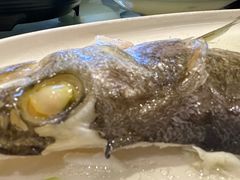 -松沪名灶·豆浆鱼头·新上海菜(飞航吾悦广场店)
