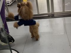 -艾贝尔宠物医院(华府骏苑店)