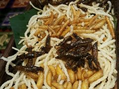 昆虫总动员-云海肴云南菜·蒸汽石锅鱼(北京良乡华冠店)