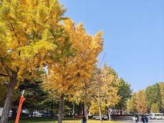 -中国政法大学(昌平校区)