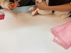 -御宝贝·A梦猫科宠物医院(国际猫友好医院)