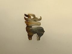 -湖北省博物馆