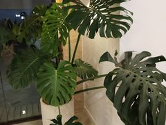 -一块儿·蛋糕定制店(吴兴店)