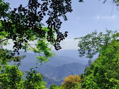 -王顺山国家森林公园