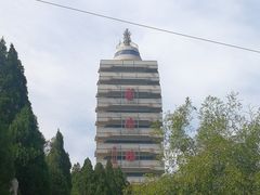 -原山国家森林公园