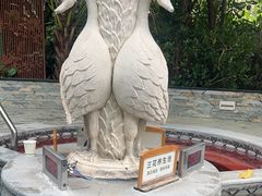 -碧水湾温泉