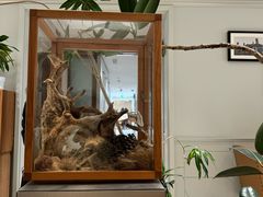 -一尺花园(安和花园店)