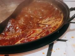 -朱光玉火锅馆(正弘城店)