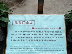 -衢州市博物馆
