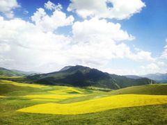 -青海湖国家重点风景名胜区