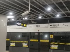 -真如(地铁站)