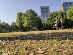 -重庆彩云湖湿地公园