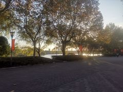 -东华大学(松江校区)