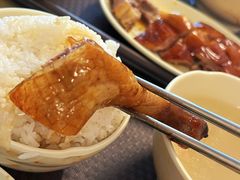 烧鹅饭-鹅最好(南光店)