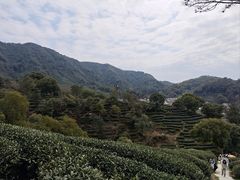 -十里琅珰