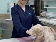 -北京观赏动物医院·24小时大型综合·猫专科·异宠专科