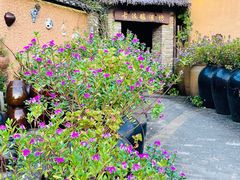 -清水湖度假村(罗浮山美食地标店)