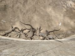 -野象谷景区