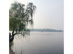 -西湖外事游船(花港观鱼码头)