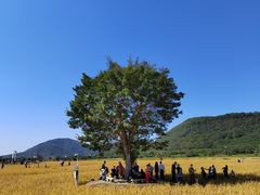 -艾米稻香小镇