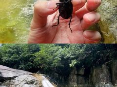 -亚龙湾国际玫瑰谷