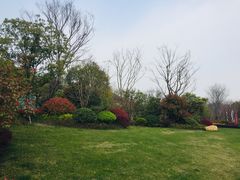 -新江湾城公园