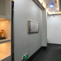 -DEM缔怡美科技美容