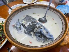 千岛湖浓汤鱼头-全乐鱼馆·淳牌有机鱼直营店