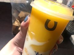 -春丽小马(济南恒隆广场店)