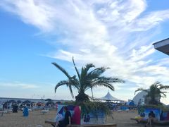 -碧海金沙