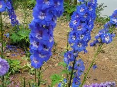 -人民公园(罗湖区)