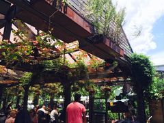 -The Grounds of Alexandria
