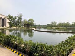 -南通滨江洲际酒店-西集自助餐厅