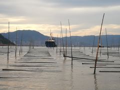-北岐滩涂