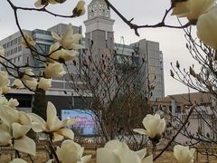 -内蒙古工业大学(新城校区)