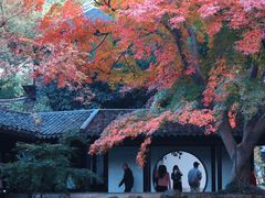 -惠山古镇·寄畅园