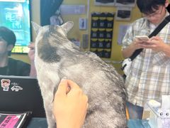 -谜盒子奇幻密室(南屏店)