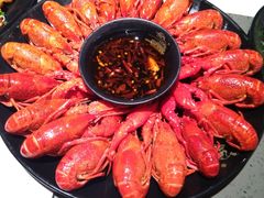清蒸大虾-一棠龙虾(徐家汇城开YOYO店)