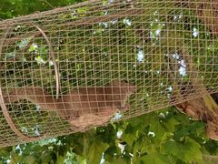 -辛玛王国游乐园