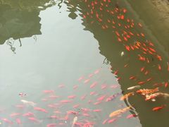 -龙潭水乡