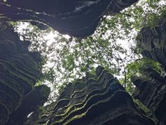 -梭布垭石林景区