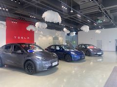 -TESLA 特斯拉(深圳观澜特斯拉直营钣喷中心)