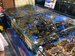 水产区-东江海鲜酒家(艺都分店)