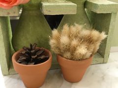 -恋暖初茶(万菱汇店)
